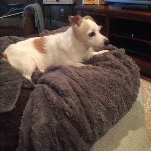 Meet your Posher, Trey