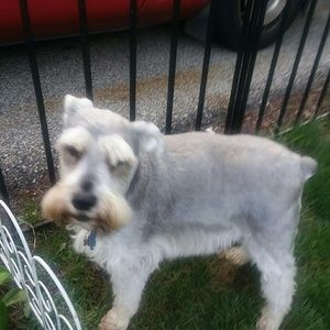 Meet your Posher, Genevieve