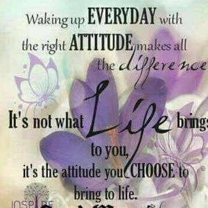 Meet your Posher, Ava