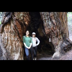 Meet your Posher, Alison