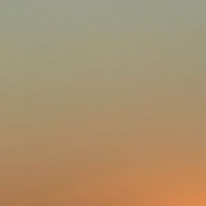 Meet your Posher, Tony