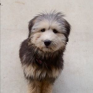 Meet your Posher, Sunyoung