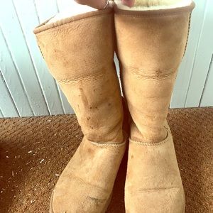 Chestnut ugg boots