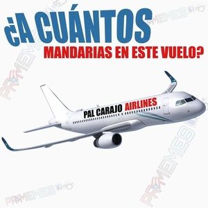 Meet your Posher, Joe