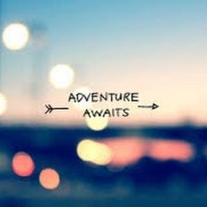 Meet your Posher, Caitlyn