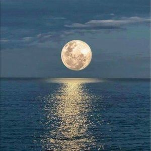 Meet your Posher, Leighann