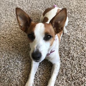 Meet your Posher, Felicia