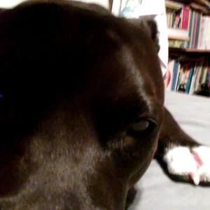 Meet your Posher, William