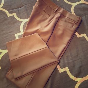 Express Columnist Dress Pant