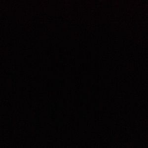 Meet your Posher, Lila