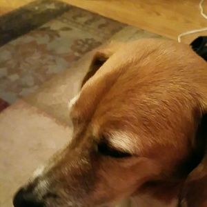 Meet your Posher, Jane