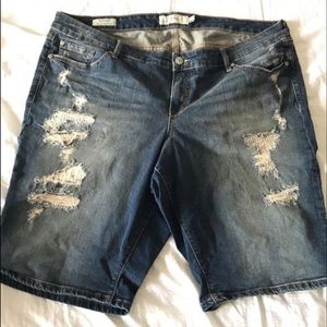 TORRID plus size 22 boyfriend shorts