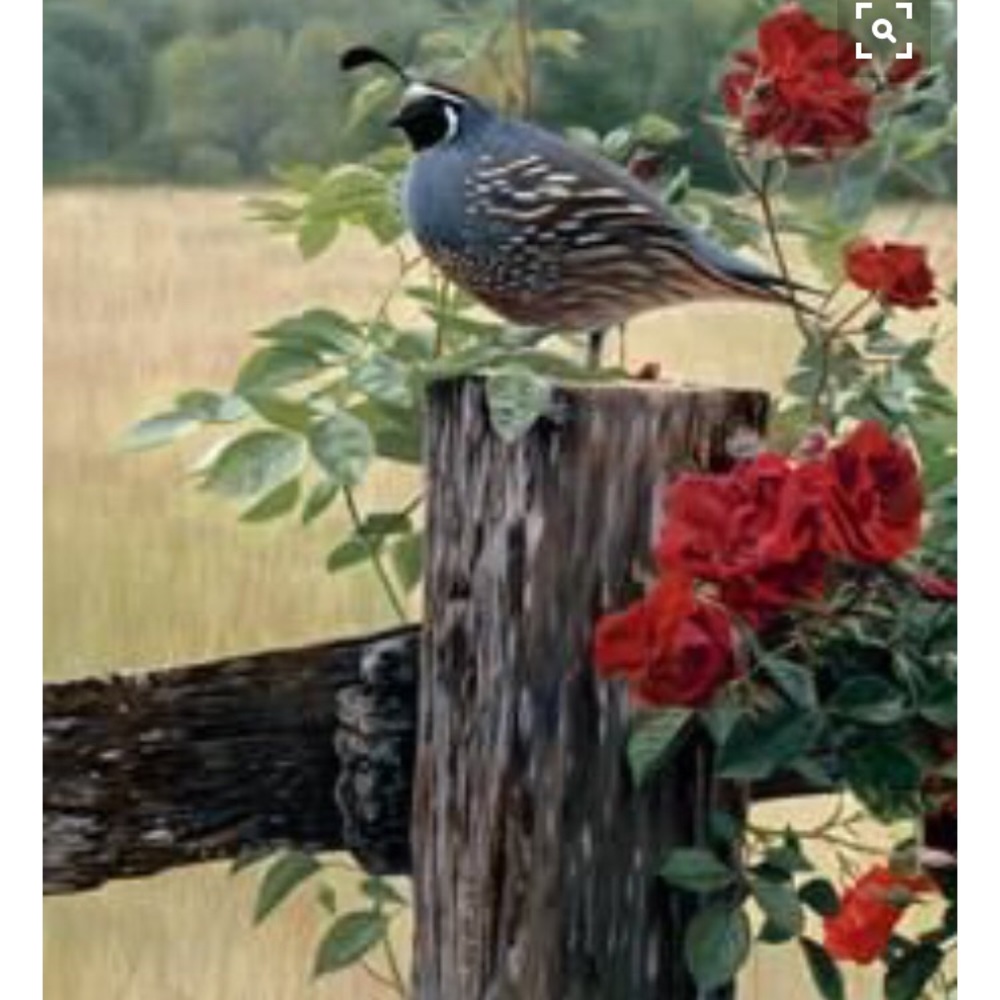 Meet your Posher, Jen