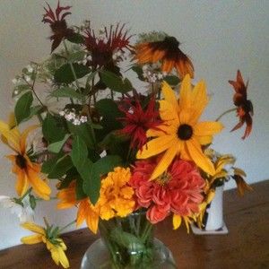 Meet your Posher, Catherine