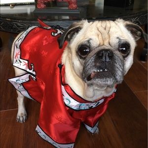 Meet your Posher, Cheri