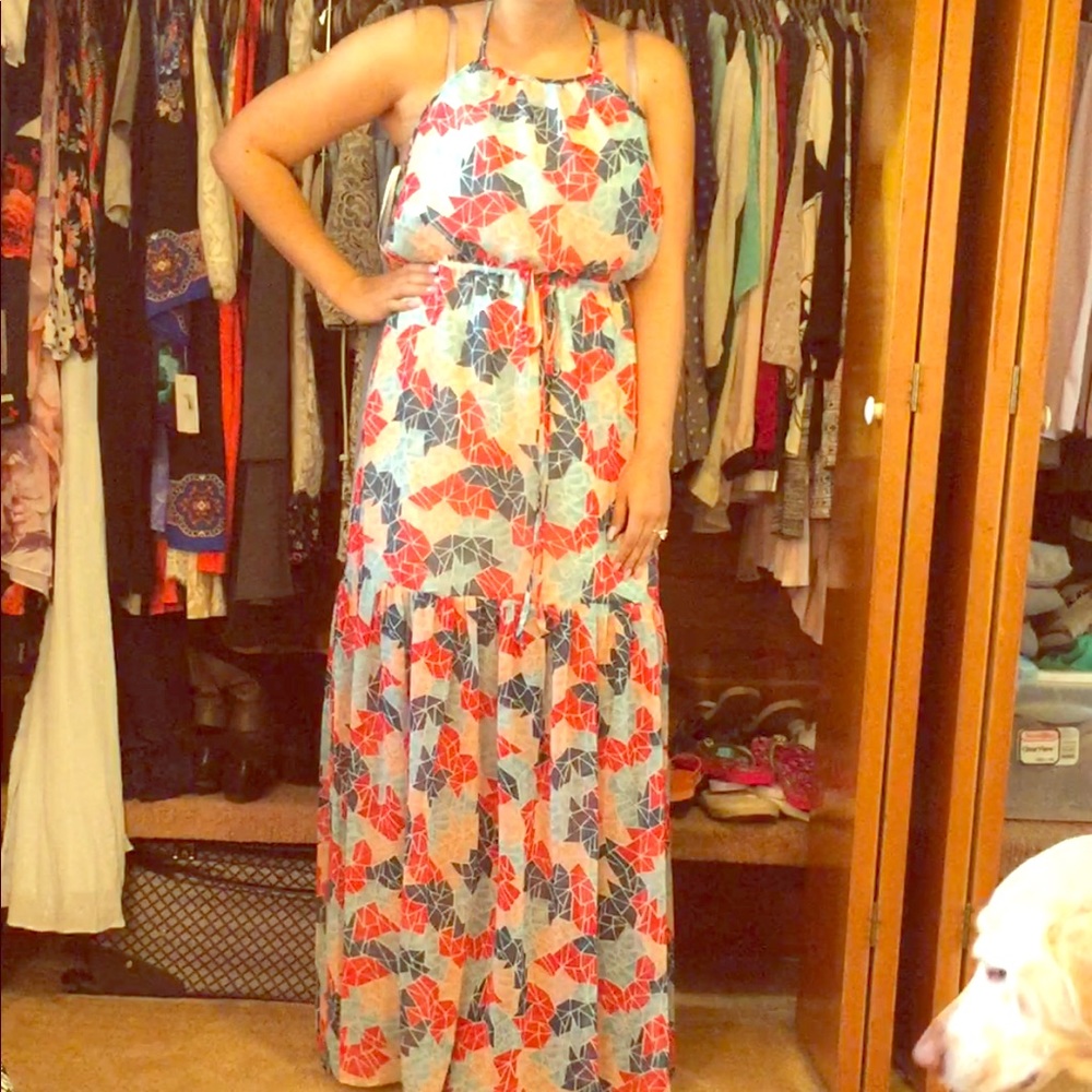 Bcbg maxi dress