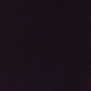 Meet your Posher, Wyatt