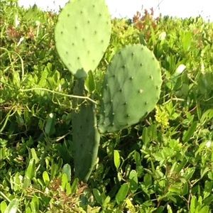 Meet your Posher, Jayda