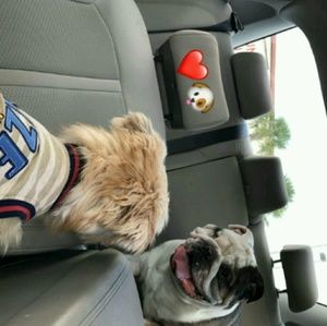 Meet your Posher, Anna