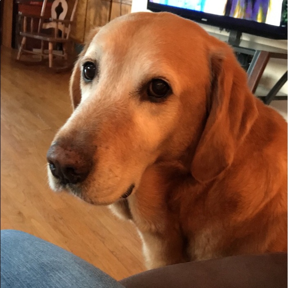 Meet your Posher, Katie