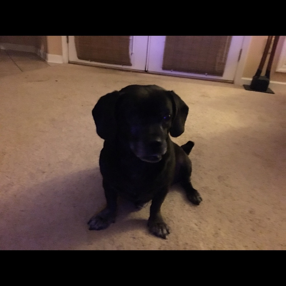 Meet your Posher, Patricia