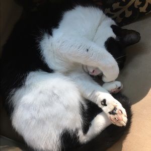 Meet your Posher, Jordan