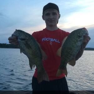 Meet your Posher, Austin