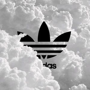 Meet your Posher, Brady