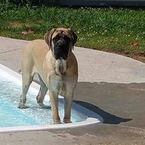 Meet your Posher, Tammy