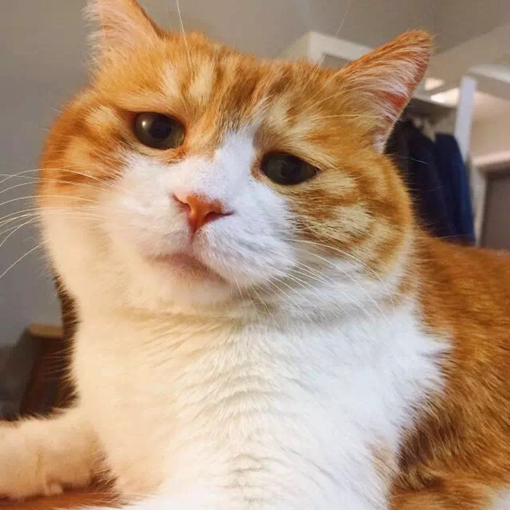 Meet your Posher, Na