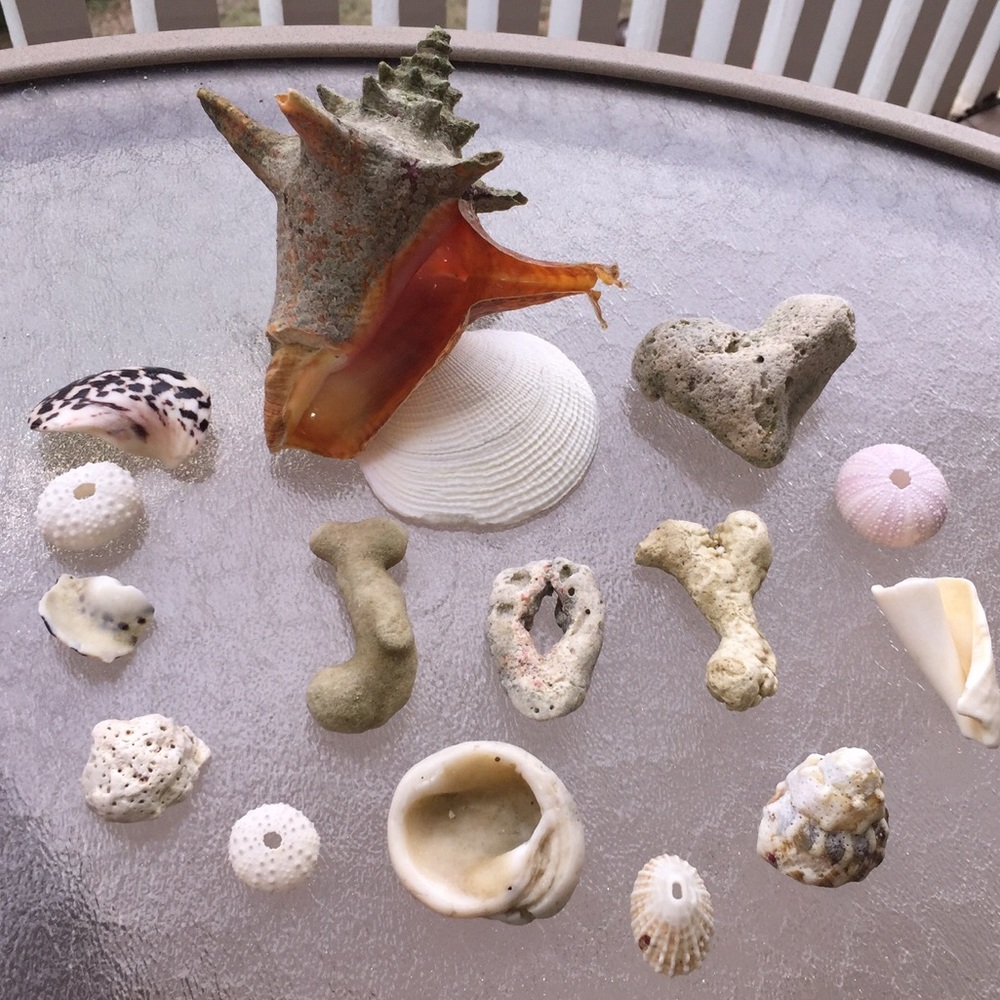 Meet your Posher, Linda