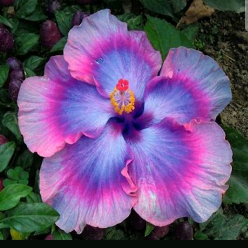 Meet your Posher, Meg