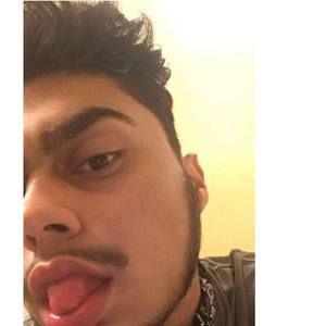 Meet your Posher, Harry