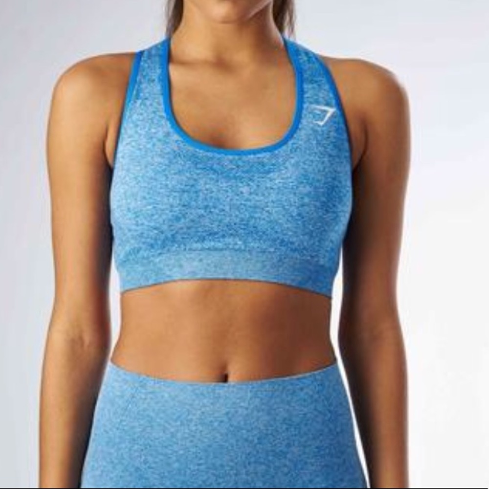 Gymshark seamless sports bra- blueberry marl