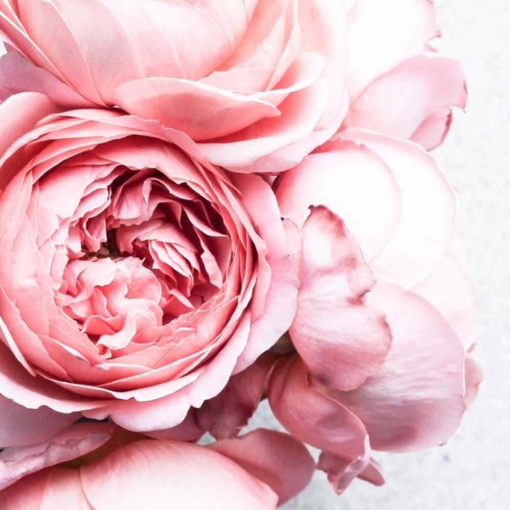 Meet your Posher, Sawsan