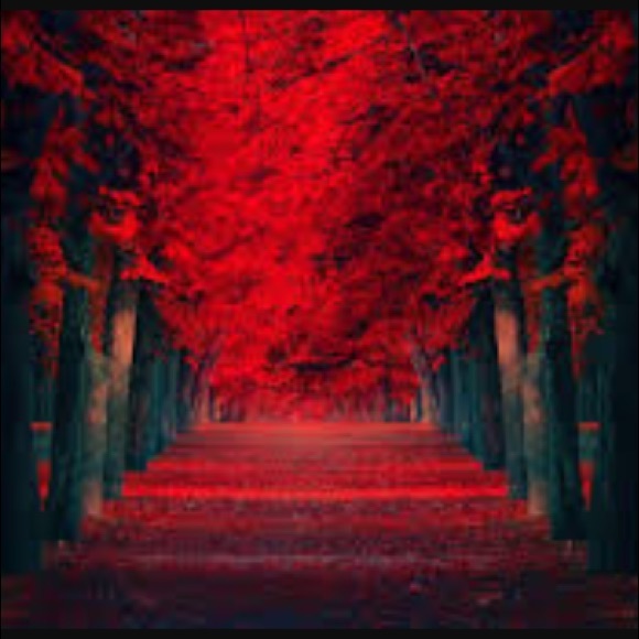 My 2nd Follow Game!! - Picture 2 of 4