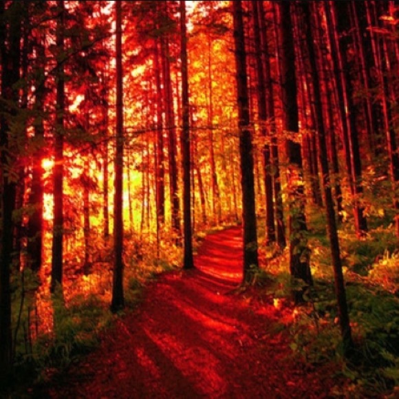 My 2nd Follow Game!! - Picture 4 of 4