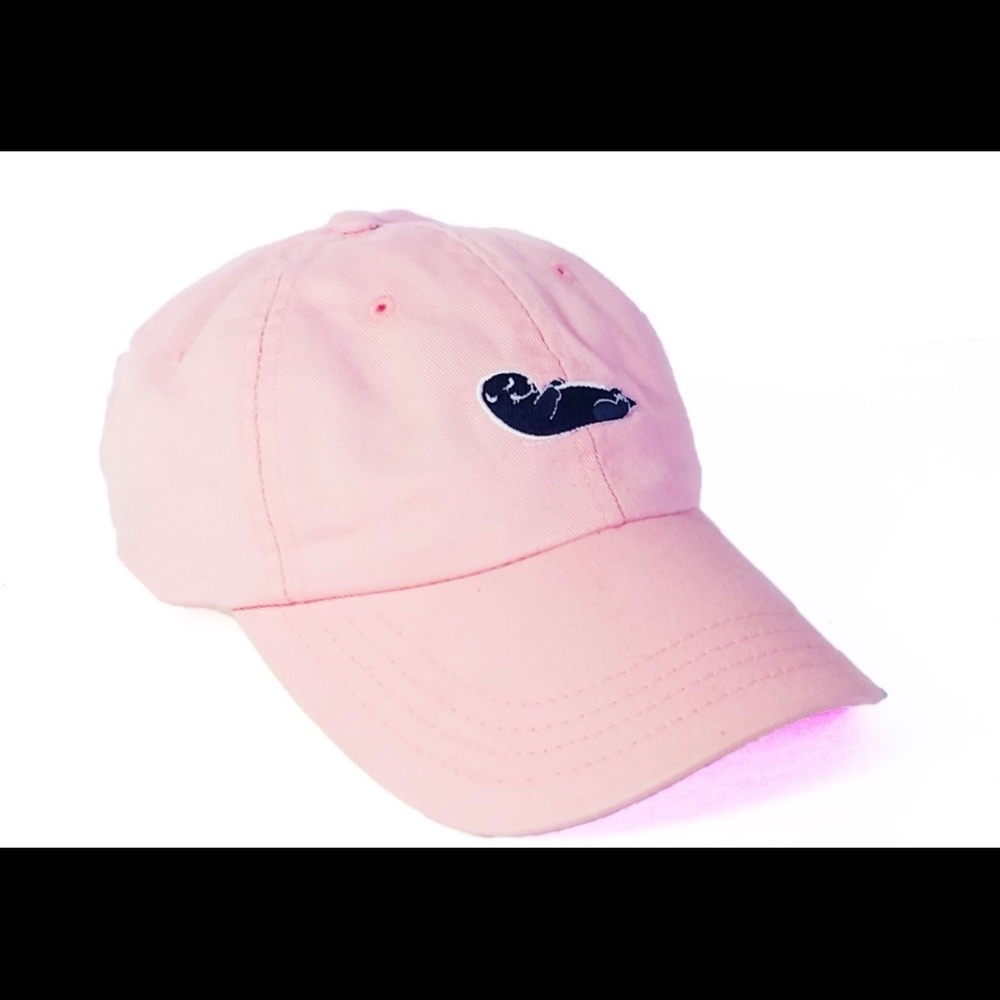 Beautiful Twin Tides NWT Pink leather strap hat!