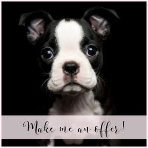 | MAKE ME AN OFFER! |