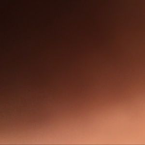 Meet your Posher, Tyeshia