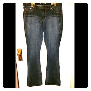 Torrid*Source of Wisdom* Med Wash Bootcut Jeans