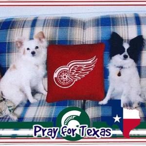 Meet your Posher, Ada