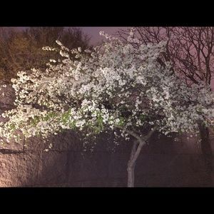 Meet your Posher, Penny