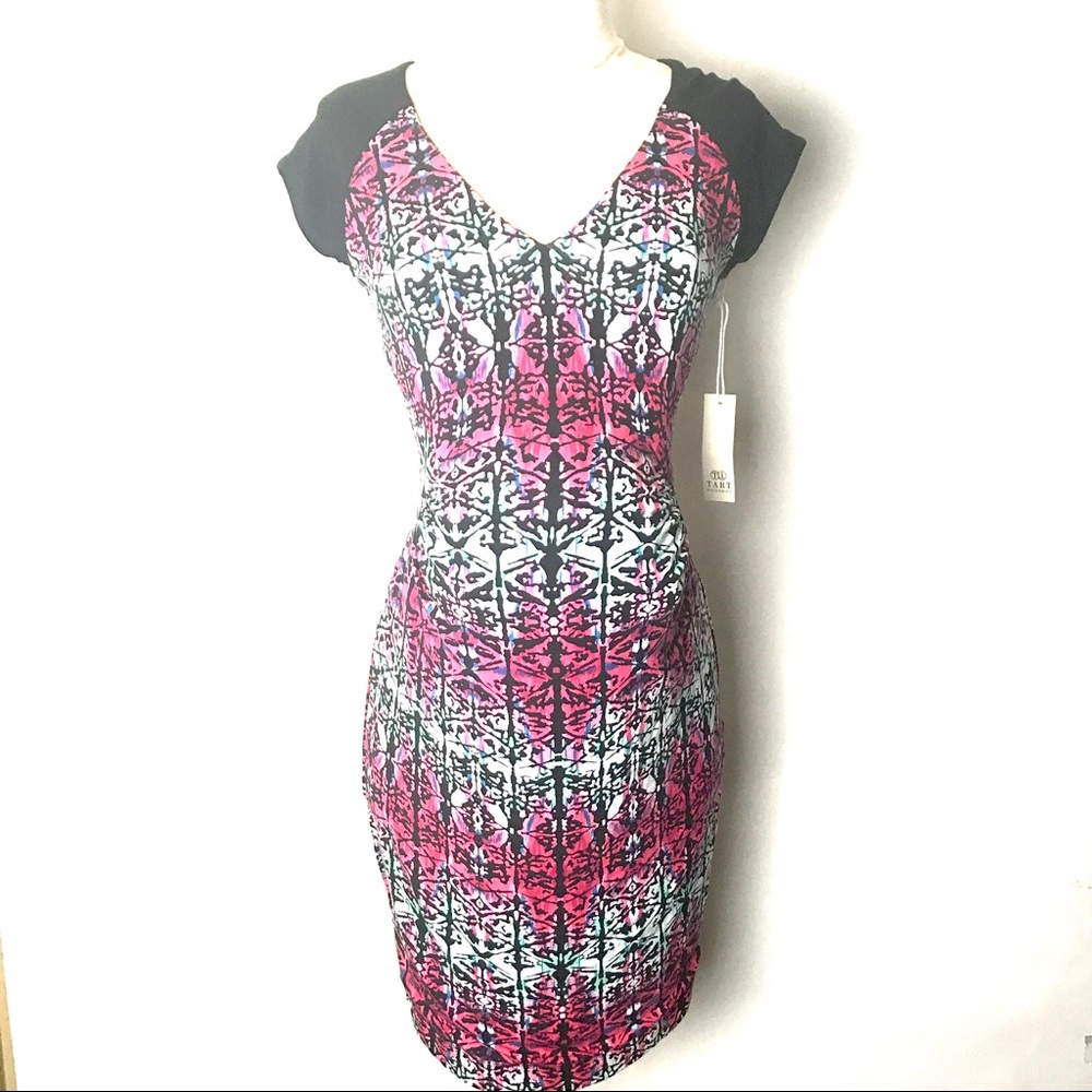 Tart  Dress (Maternity)