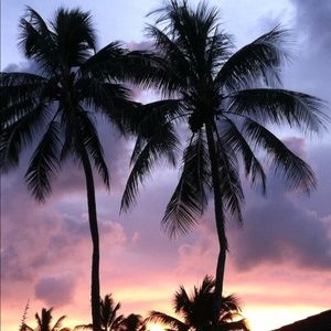 Meet your Posher, Aimee