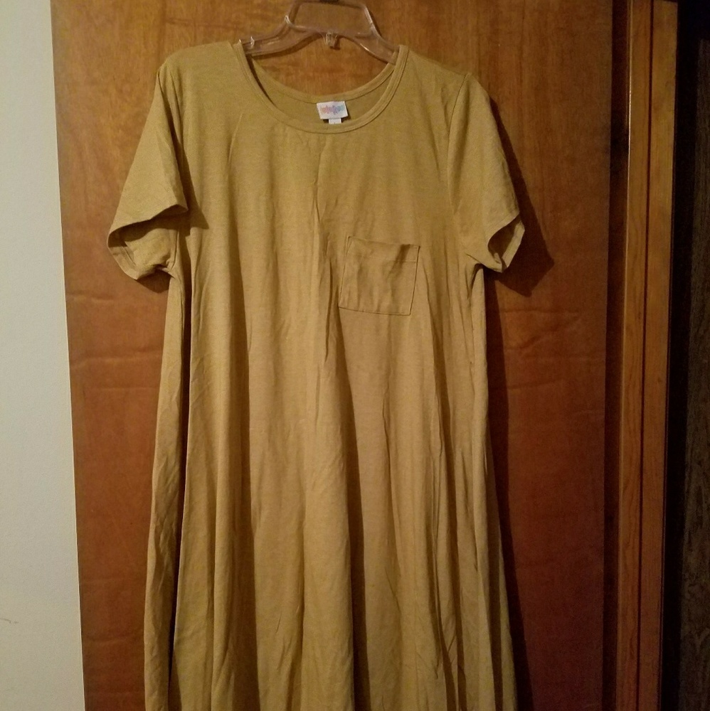 LulaRoe Carly Dress!