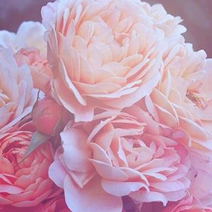 Meet your Posher, Aida