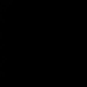 Meet your Posher, Shaunyay