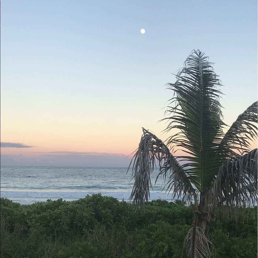 Meet your Posher, Raquel