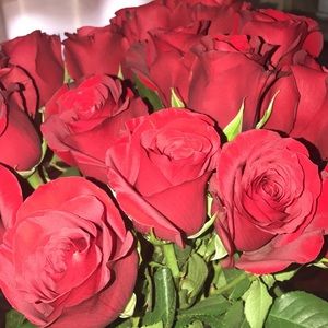 Meet your Posher, Rana